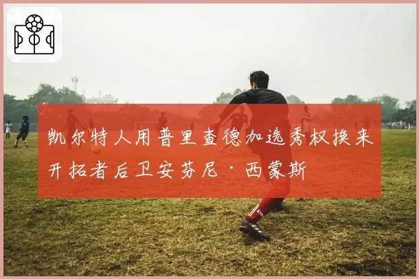 凯尔特人用普里查德加选秀权换来开拓者后卫安芬尼·西蒙斯